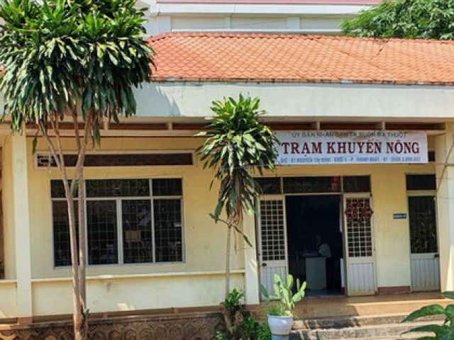 Tin tức trong ngày - Đắk Lắk: Công an vào cuộc vụ phối giống bò… trên giấy