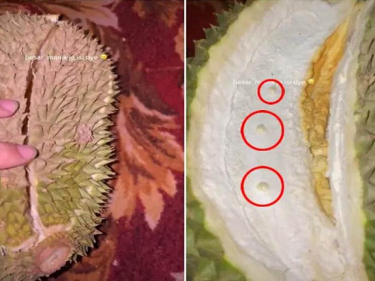 Bạn trẻ - Cuộc sống - Hí hửng quay clip bổ quả sầu riêng mới mua, cô gái sốc với những gì nhìn thấy