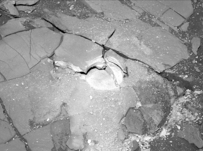 Bức ảnh của Perseverance cho thấy khu vực nó chuẩn bị mài chứa rất nhiều loại đá hạt mịn, có thể là kho tàng sự sống ngoài hành tinh - Ảnh: NASA/JPL-Caltech/ASU
