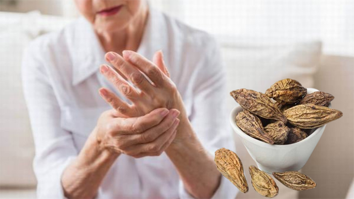 Quả Chiêu liêu đem lại hiệu quả cho người mắc bệnh xương khớp