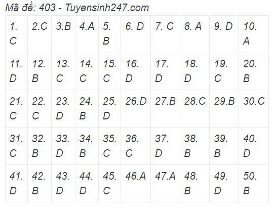 Cập nhật đề thi môn Ngoại ngữ, môn thi cuối cùng kỳ thi tốt nghiệp THPT 2022 - 5