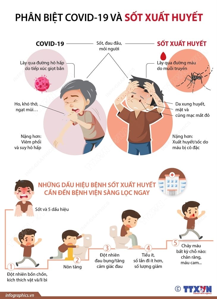 Sốt xuất huyết bùng phát: Cách nào phân biệt COVID-19 và sốt xuất huyết? - 1