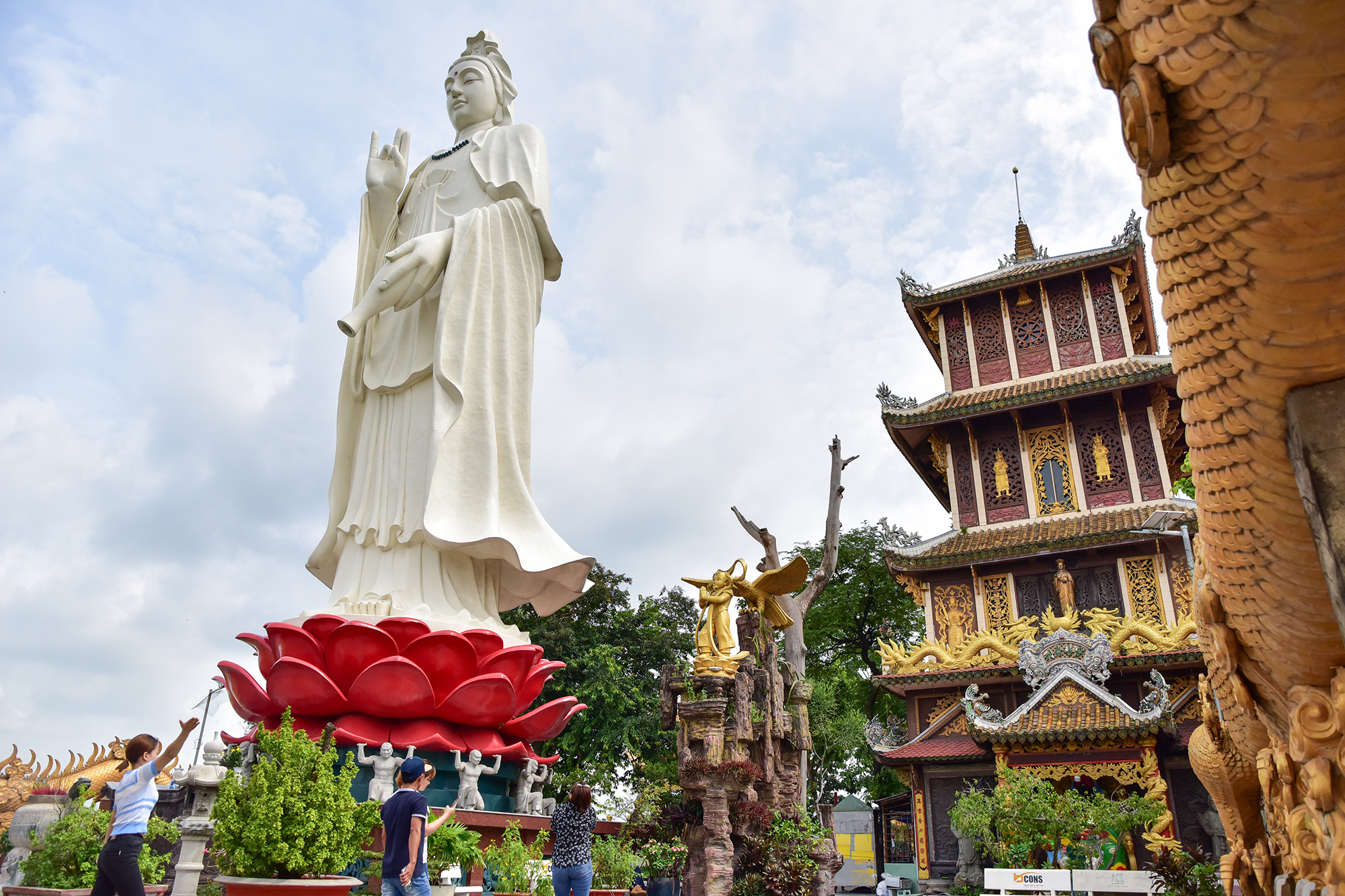 Ảnh: Đàn khỉ sống “nương nhờ” cửa Phật trên đỉnh núi ở Bình Dương - 3