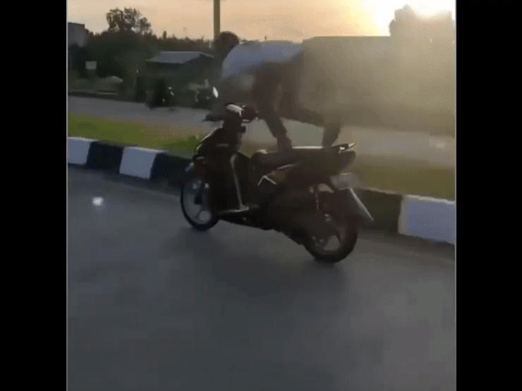 Xe máy - Xe đạp - Clip: Trẻ trâu thể hiện bốc đầu với xe tay ga và cái kết "vừa lòng"