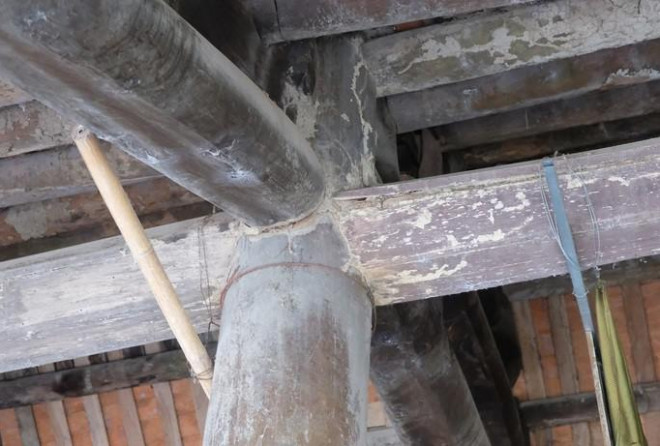 Mối mọt trên các cấu kiện cột xã của đình Đô Mỹ