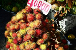 Ẩm thực - Đi du lịch ít người để ý những điều quan trọng này khi ăn uống