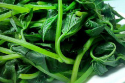 Ẩm thực - Loại rau giúp thanh lọc nội tạng mà người Nhật cực thích, đang rẻ như bèo ở chợ Việt nhưng nhiều người chê không ăn!