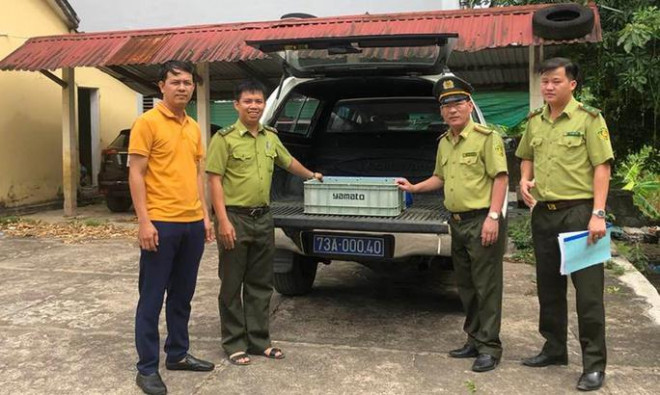 Hạt Kiểm lâm huyện Tuyên Hóa bàn giao các con rùa cho Trung tâm Cứu hộ, bảo tồn và Phát triển sinh vật VQG Phong Nha - Kẻ Bàng