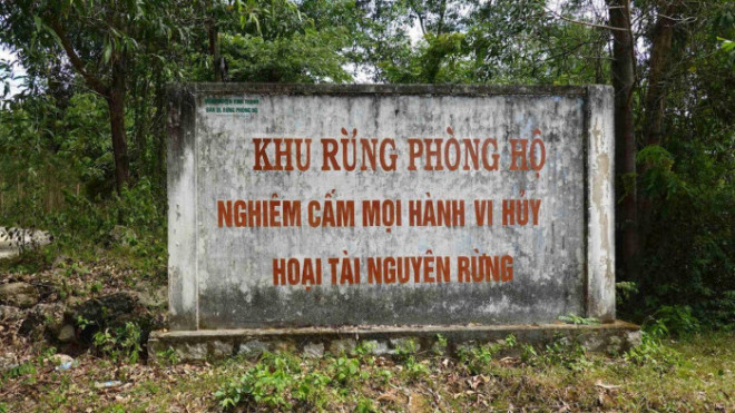 Bảng khu vực rừng phòng hộ nằm ngay con đường dẫn vào khu nhà sàn của bà Trương Thị Lệ Thâm