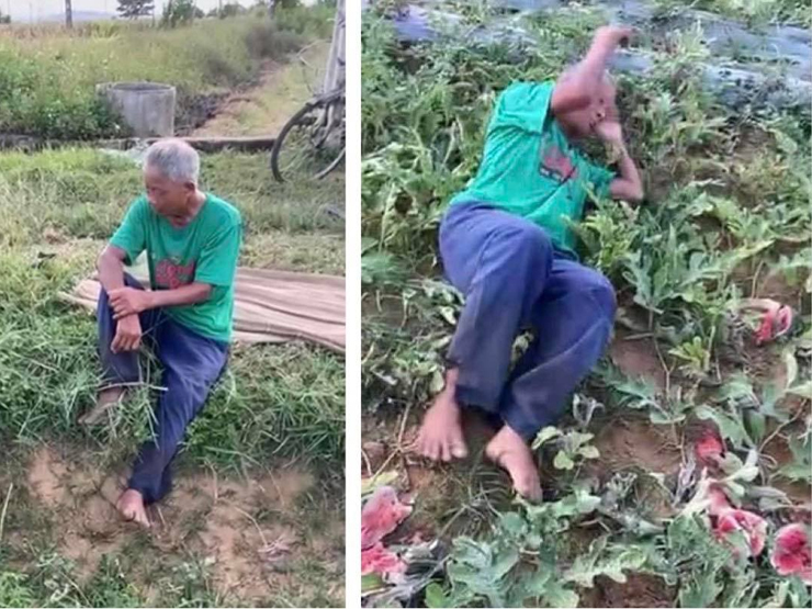 Tin tức trong ngày - Nóng trong tuần: Cái kết đẹp vụ cụ ông nằm khóc giữa ruộng dưa bị phá nát