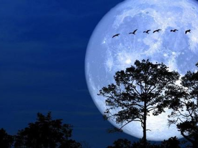 Công nghệ thông tin - Sắp có siêu trăng rất đẹp