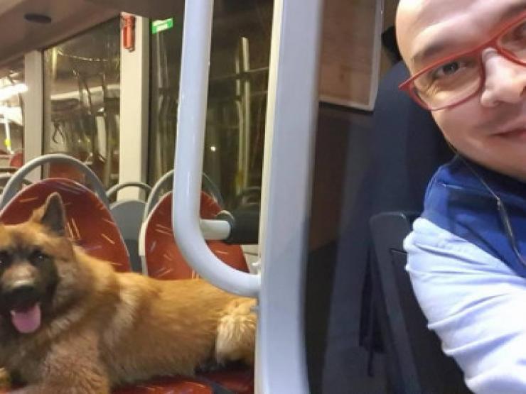 Bạn trẻ - Cuộc sống - Chú chó đi lạc đoàn tụ với chủ theo cách đầy bất ngờ