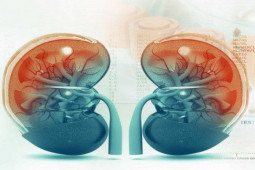 Sức khỏe đời sống - Trắc nghiệm: 2 quả thận quý giá sẽ được bảo vệ nếu bạn không hiểu sai những điều này