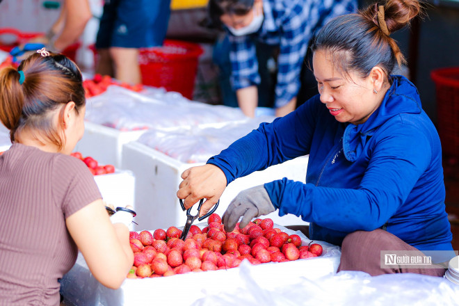 Tiếp đến người dân sẽ tiến hành cắt sạch cuống và vệ sinh vải sạch sẽ.