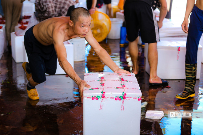 Những công việc nặng như đóng gói vải, vận chuyển vải ướp lạnh... đều được các công nhân nam thực hiện. Anh Vi Văn Bình (xã Giáp Sơn, huyện Lục Ngạn) cho biết, mỗi khi vụ vải đến, anh lại tới đây làm bốc vác cho các cửa hàng thu mua vải.