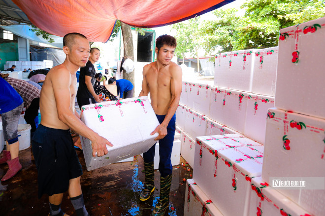 "Nhà tôi cũng có vải thiều nhưng không nhiều nên tôi tranh thủ những ngày mùa vụ này đi kiếm tiền lo cho gia đình. Còn sức thì còn cố làm, có những đợt tôi làm xuyên 2 - 3 hôm vì hàng nhiều, càng làm được tiền lại càng muốn làm thêm, lúc nào mệt quá mới nghỉ", anh Bình nói thêm.