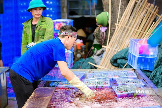 Theo như các nhân công tại đây, mỗi ngày làm việc tại điểm cân này được trả công từ 800 nghìn đồng đến 1 triệu đồng, tùy vào lượng hàng, có hôm nhiều hàng thì được hơn nữa.