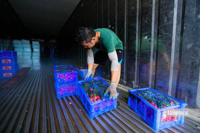 Trong các thùng container cũng được chất đầy đá nhằm làm mát, sau khi đưa những thùng vải lên thùng xe container, công nhân tưới nước lại một lần nữa và di chuyển đến các cửa khẩu.