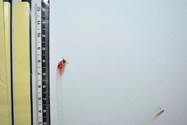 Cảnh sát phát hiện có xác muỗi và vết máu khô trên tường, cho rằng đây là "bằng chứng quan trọng".