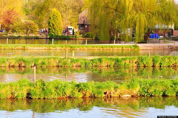 Trang trại cá hồi nổi tiếng của Bibury cũng rất ấn tượng và bạn có thể thưởng thức bữa tối của mình với món cá ngon tuyệt.&nbsp;
