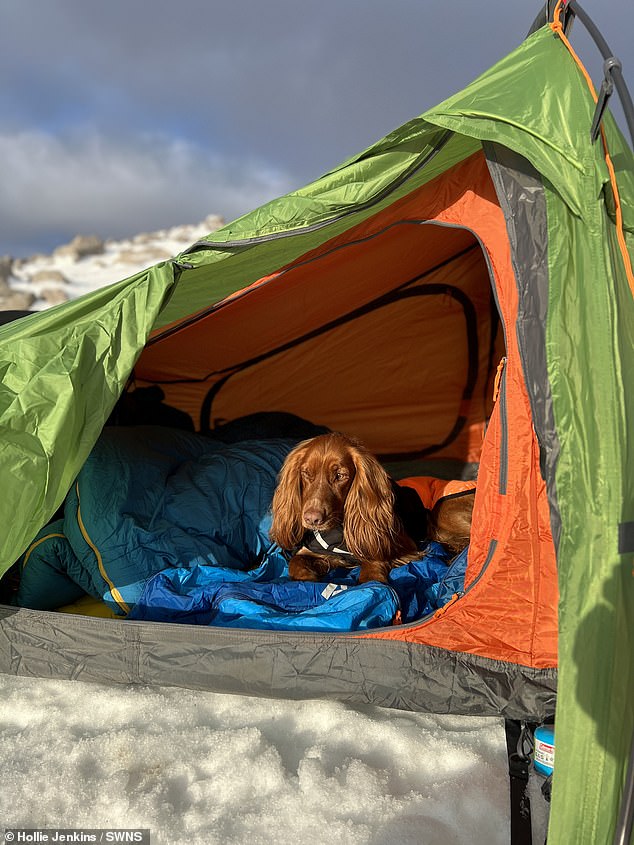 Clip: Hai chú chó đáng yêu theo cô chủ phiêu lưu cắm trại hoang dã - 12