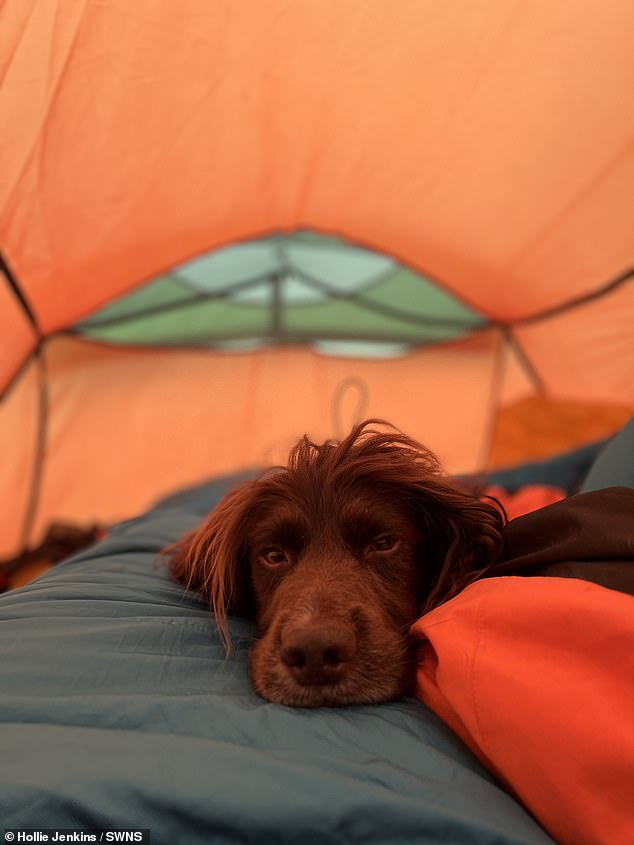 Clip: Hai chú chó đáng yêu theo cô chủ phiêu lưu cắm trại hoang dã - 13