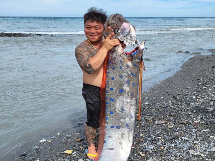 Đài Loan: Cần câu bất ngờ cong vút, ngư dân chật vật lôi ”rồng biển” 6 mét lên bờ