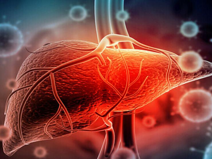 Sức khỏe đời sống - Nhiều người vô tình tự "hủy hoại" lá gan của mình mà không hề biết những điều này