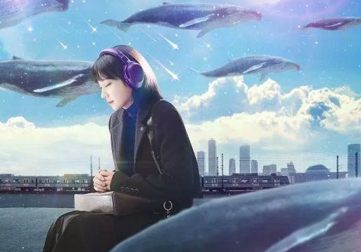 Cô nàng luật sư kỳ lạ luôn liên tưởng mọi thứ đến cá voi.