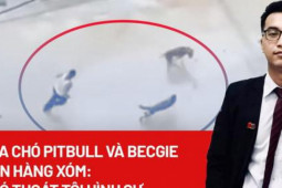 An ninh - Xã hội - Lùa chó Pitbull và Becgie cắn hàng xóm: Khó thoát tội hình sự!