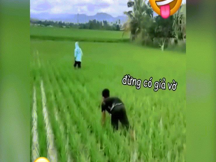 Xe máy - Xe đạp - Clip: "Quái xế" ngụy trang giả vờ cấy, cảnh sát vẫn mời về đồn