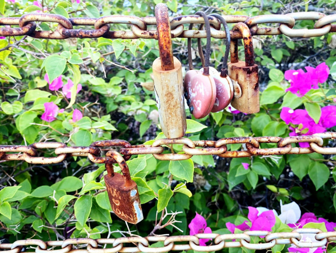 Những ổ khóa tình yêu năm nào giờ đã hoen gỉ theo thời gian. Ảnh: Khuê Việt Trường