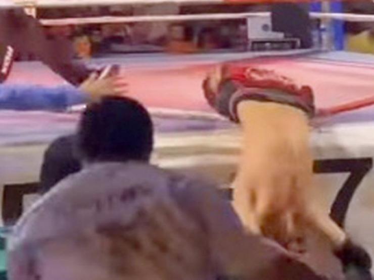 Thể thao - Cú knock-out khiến đối thủ văng khỏi sàn, tiếp đất bằng đầu