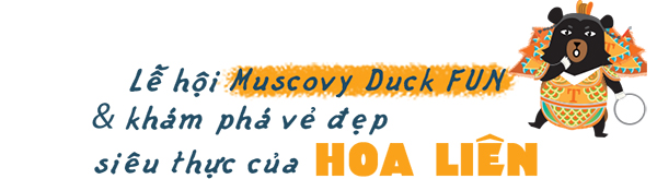 Sôi động như Fomosa Summer Festiaval: Bảo sao đi Đài Loan rồi vẫn muốn đi lại nhiều lần nữa - 27