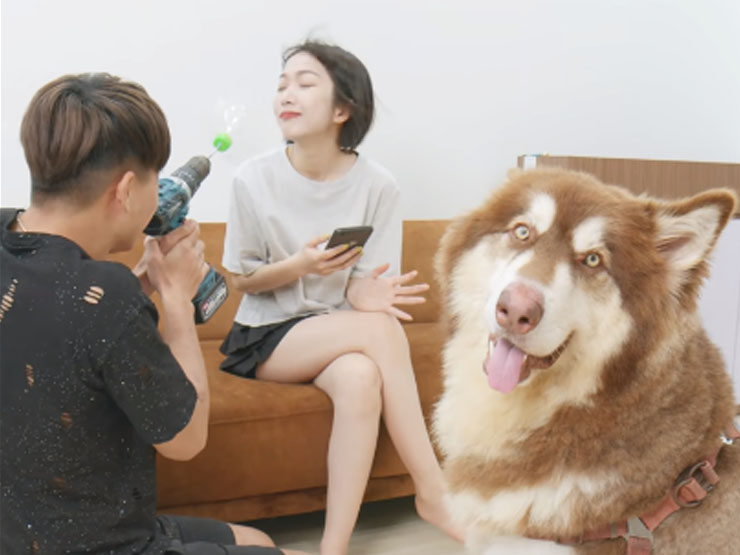 Giải trí - Những YouTuber Việt có thành tích "khủng" được YouTube Shorts vinh danh