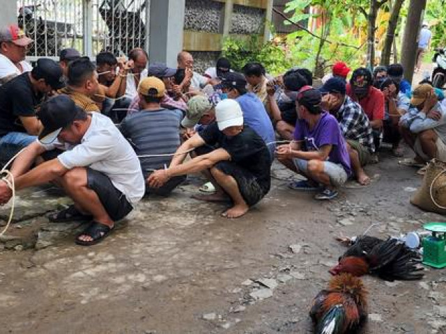 Pháp luật - Công an ập vào sới gà, nhiều người nhảy xuống ao