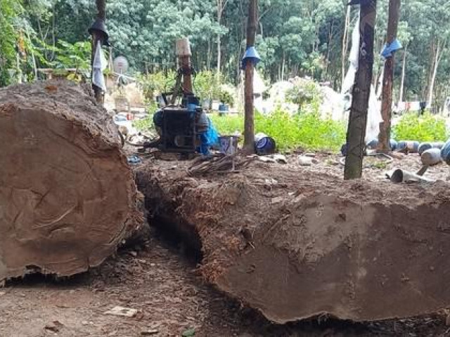 Tiếp tục gay cấn vụ đào được gỗ dưới lòng đất ở Kon Tum