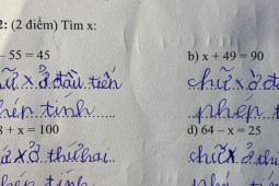 Giáo dục - du học - Đứa bé tiểu học giải bài toán tìm x, đáp án khiến người lớn "tím mặt": Sai mà cũng đúng!