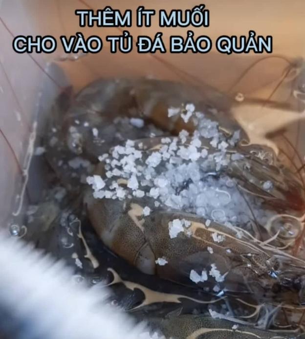 Sau đó bỏ thêm vào đó chút muối hạt rồi đóng nắp hộp, đưa vào bảo quản trong ngăn đá tủ lạnh.