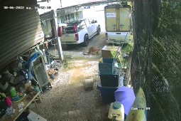 Phi thường - kỳ quặc - Video: Đột nhập vào nhà dân, rắn "khủng" bị chó nhà quật cho tơi tả