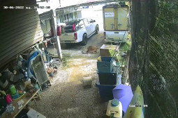 Phi thường - kỳ quặc - Video: Đột nhập vào nhà dân, rắn "khủng" bị chó nhà quật cho tơi tả