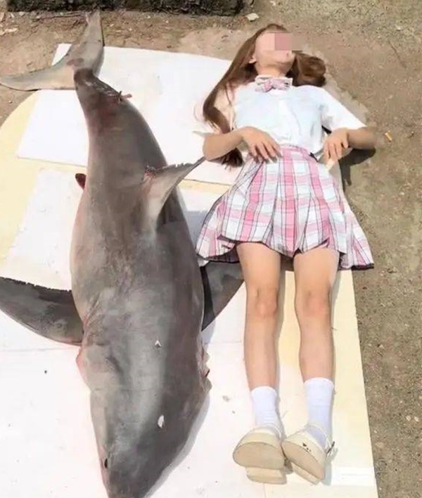 Cô gái khoe cá mập khắp mạng xã hội.