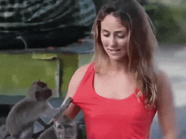 Tranh vui - Các người đẹp khóc thét khi bất ngờ bị động vật "sàm sỡ"