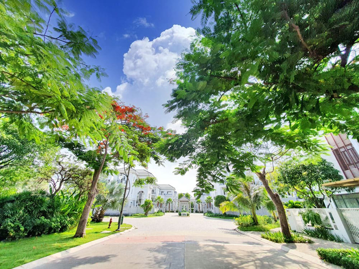 Kinh doanh - TP.HCM ưu tiên mở đường, xây nút giao thông vùng đô thị cảng Cát Lái