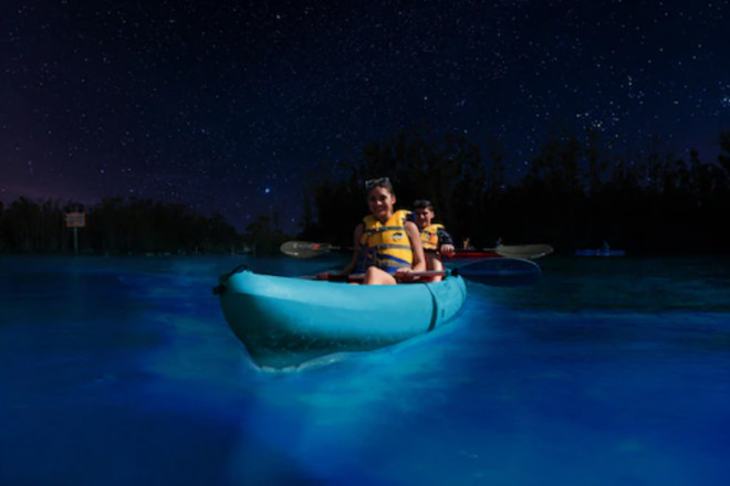 Các công ty du lịch cung cấp tour có hướng dẫn viên;&nbsp;một số còn cung cấp thuyền kayak có đáy trong suốt