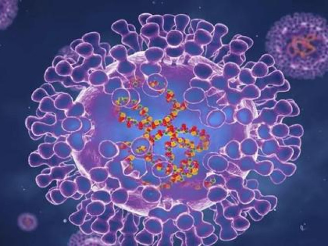 Báo động: Virus đậu mùa khỉ tiến hóa 'thần tốc' nhanh gấp 12 lần thông thường