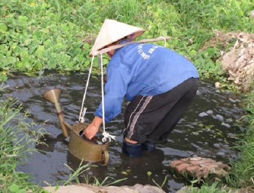 Ảnh minh hoạ