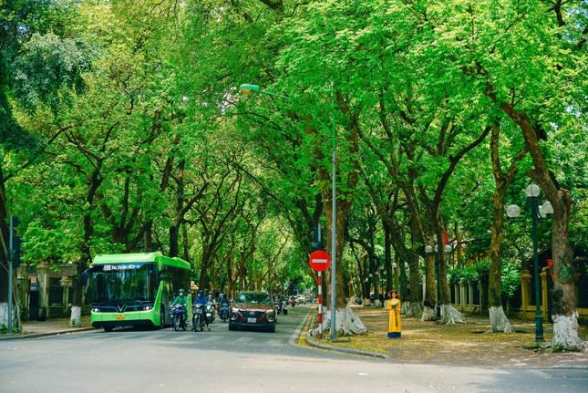 Thiếu nữ dịu dàng dạo bước trên phố.