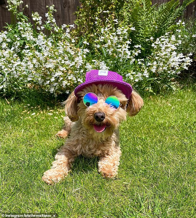 Lola (3 tuổi) thích mặc quần áo và đây là bộ trang phục hoàn hảo cho một ngày nắng.