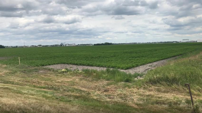 Khu đất mà Fufeng dự định xây dựng nhà máy chế biến ngô ở TP Grand Forks, bang North Dakota, Mỹ. Ảnh: FUFENG USA